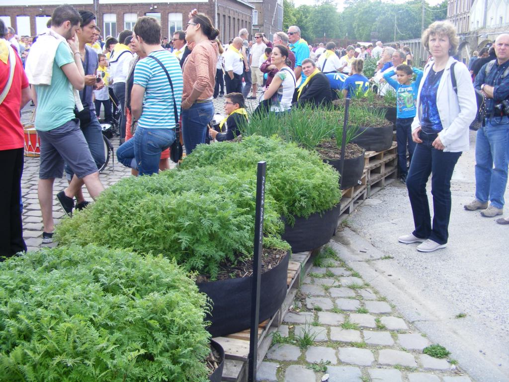 Urban gardening made in Lille